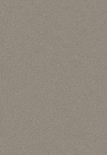 Ковер PLATINUM_t600, 1*2, STAN, GRAY